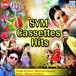 SYM Cassettes Hits - Bhomraj Prajapat Song Download