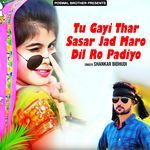 Tu Gayi Thar Sasar Jad Maro Dil Ro Padiyo Album Download