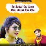 Tu Badal Gyi Janu Mari Burai Kar Cha Album Download