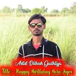 Happy Birthday Bolu Jigri Album Download
