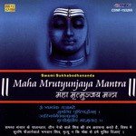 Swami Sukhabodhananda Songs MP3 Download