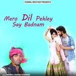 Mero Dil Pehley Say Badnam Album Download