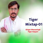 Tiger Mixtap 01 Album Download