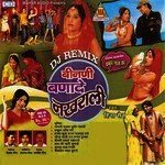 Binadi Banade Nakhrali Album Download