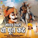 Mayad Tharo Puth Kathe Album Download