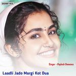 Laadli Jado Margi Kot Dua Album Download