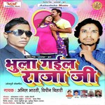 Vipin Bihari Songs MP3 Download