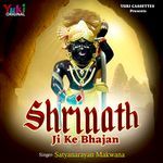 Shrinath Ji Ke Bhajan Album Download