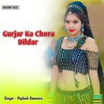 Gurjar Ka Chora Dildar Album Download