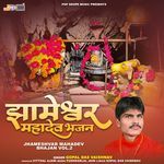 Jhameshvar Mahadev Bhajan, Vol. 02 Album Download