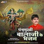 Panchmukhi Balaji Ke Bhajan Album Download