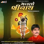 Bhajlo Shreenath Album Download