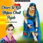 Chori Tu Kat Bhijwa Chali Pajeb Album Download