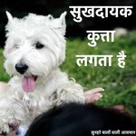 सुनहरे बालों वाली आसमान Songs MP3 Download