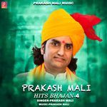 Prakash Mali Hits Bhajan 4 Album Download