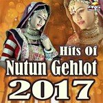Hits Of Nutun Gehlot 2017 Album Download