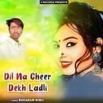 Dil Na Cheer Dekh Ladli Album Download