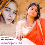 Teri Duniya Se Yara Dur Chali Album Download