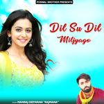 Dil Su Dil Miljyago Album Download