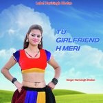 Tu Girlfriend H Meri Album Download