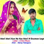 Mari Mari Kun Ne Kev Mari N Dusman Lega Album Download