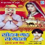 Sohan Gadh Me Mahal Album Download
