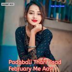 Padabali Thari Yaad February Me Aav Album Download
