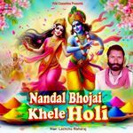 Nandal Bhojai Khele Holi Album Download