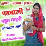 Dil Mharo Toku Hi Yaad Album Download