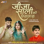 Jija Sali Ki Chhed Chhad Album Download