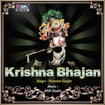 Krishna Bhajan - Pyarelal Gurjar Song Download