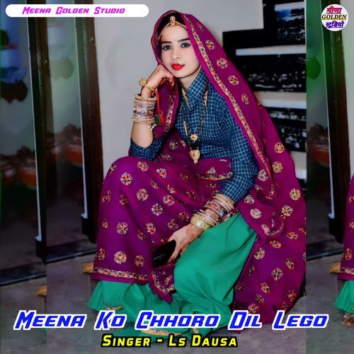 Meena Ko Chhoro Dil Lego Ls Dausa MP3 Download
