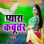 Pyara Kabutar - Rashmi Arora Song Download