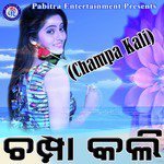 Subhasish Mahakud Songs MP3 Download