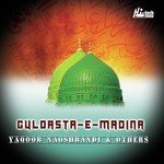 Yaqoob Naqshbandi Songs MP3 Download