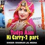 Tudya Aam Ki Carry 2 Album Download