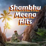 Shambhu Meena Hits Album Download