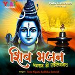 Shiv Bhajan Bhagwan Shri Ekling Nath Album Download