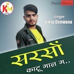 Sarsu Kaatu Maal M Album Download