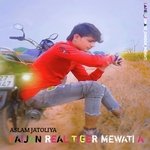 Faijan Real Tiger Mewati A Album Download