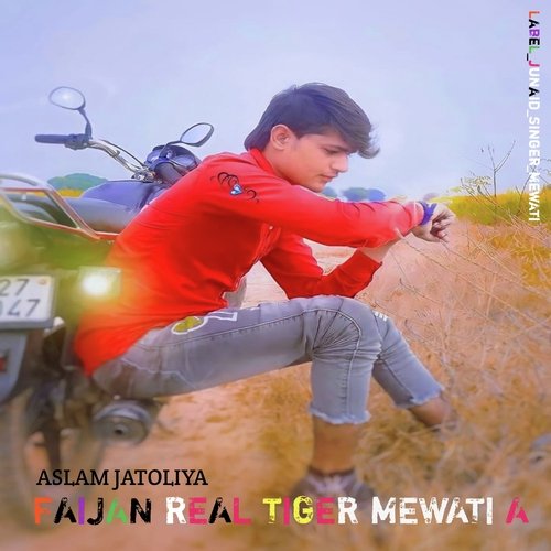 Faijan Real Tiger Mewati A Aslam Jatoliya MP3 Download