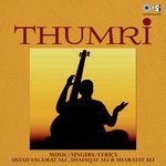 Ustad Salamat Ali Songs MP3 Download