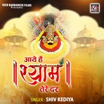 Aaye Hai Shyam Tere Dar Album Download