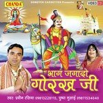 Praveen Rasiya Songs MP3 Download