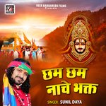 Chham Chham Nache Bhakt - Pappu Sharma Song Download