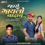 Mharo Bhaylo Nadan Album Download