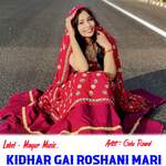 Kidhar Gai Roshani Mari Album Download