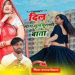 Dil Mara Bhul Purani Bata Album Download