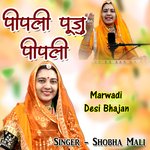 Pipli Puju Pipli (Marwadi Desi Bhajan) Album Download