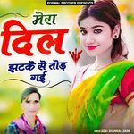 Mera Dil Jhatke Say Tod Gyi Album Download